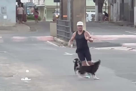 Corredor é surpreendido por animais enquanto praticava exercícios