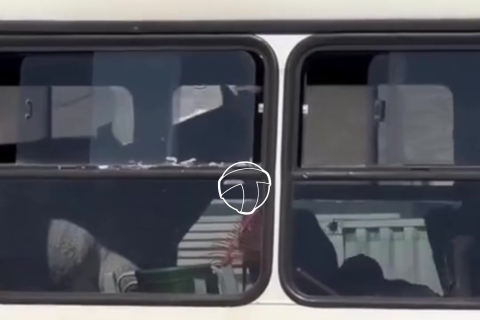 Cavalos são transportados em ônibus e cena viraliza nas redes sociai