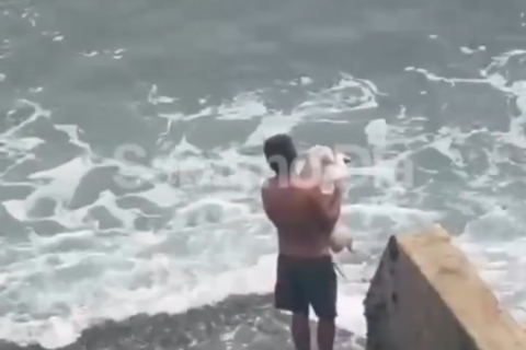 Vídeo mostra homem lançando cachorro ao mar e causa revolta nas redes sociais