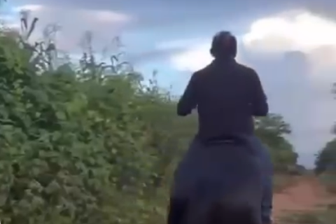 Cavalo surpreende e supera moto a quase 70 km/h durante marcha em Caucaia