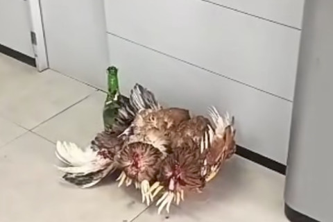 Despacho é encontrado dentro de agência do Banco do Brasil em Mata de São João