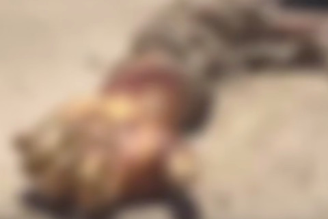 Braço humano encontrado em praia de Paracuru deixa moradores assustados