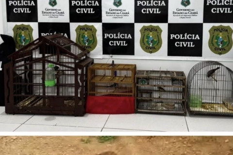 Suspeito de crimes ambientais é preso após resgate de cadela em Quiterianópolis