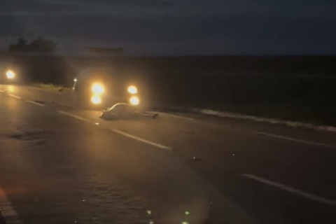 Corpo de animal morto em rodovia provoca sequência de acidentes no Ceará; vídeo impressiona