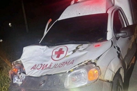 Ambulância da Saúde de Tauá bate em vaca solta na CE-363 durante retorno de pacientes
