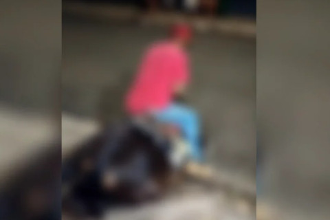 Cavalo desaba por exaustão e polícia apura possível caso de maus-tratos