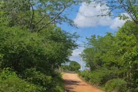 Com a chegada das chuvas, o sertão se transforma.