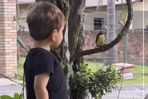 CRIANÇA SE EMOCIONA AO INTERAGIR COM BEM-TE-VI EM MOMENTO CHEIO DE DOÇURA