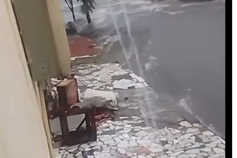 Cachorro luta para não se afogar durante chuva e revolta moradores em Juazeiro do Norte