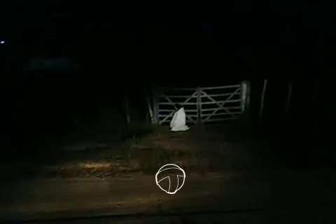Mistério em tamboril: “homem de lençol branco” assusta moradores durante a madrugada