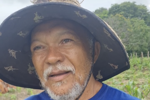 Agricultor confia em safra farta com o ritmo das chuvas